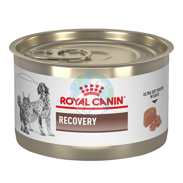 کنسرو 195گرمی Recovery Royal canin 